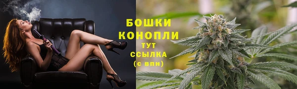 трава Аркадак