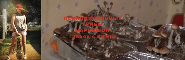 мяу мяу мука Армянск