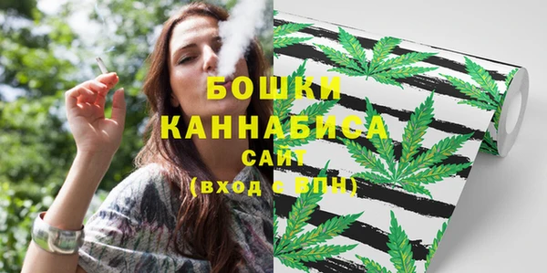 трава Аркадак