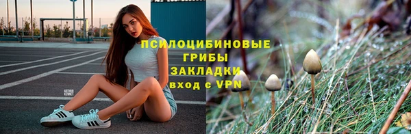 прущий лед Арсеньев