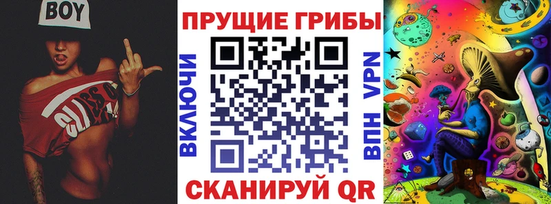 Галлюциногенные грибы MAGIC MUSHROOMS Купить Вытегра